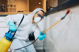 Deodorizing odor control